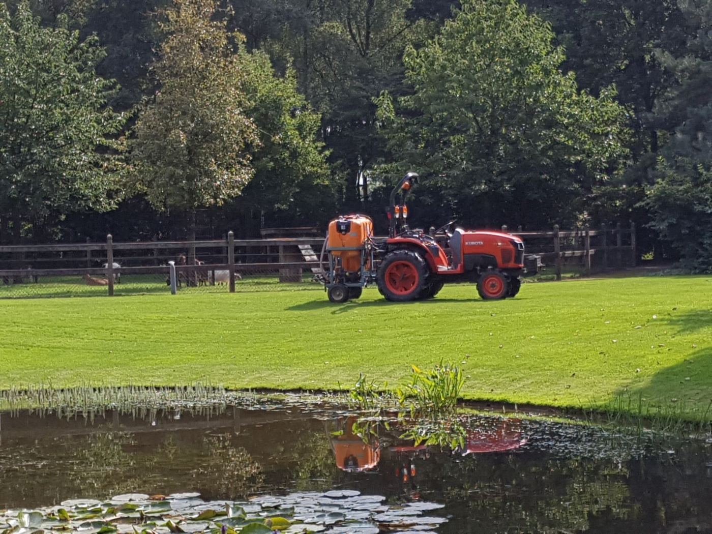 IMG-20170901-WA0002-1-web Onkruid bestrijding gazon door Grastotaal