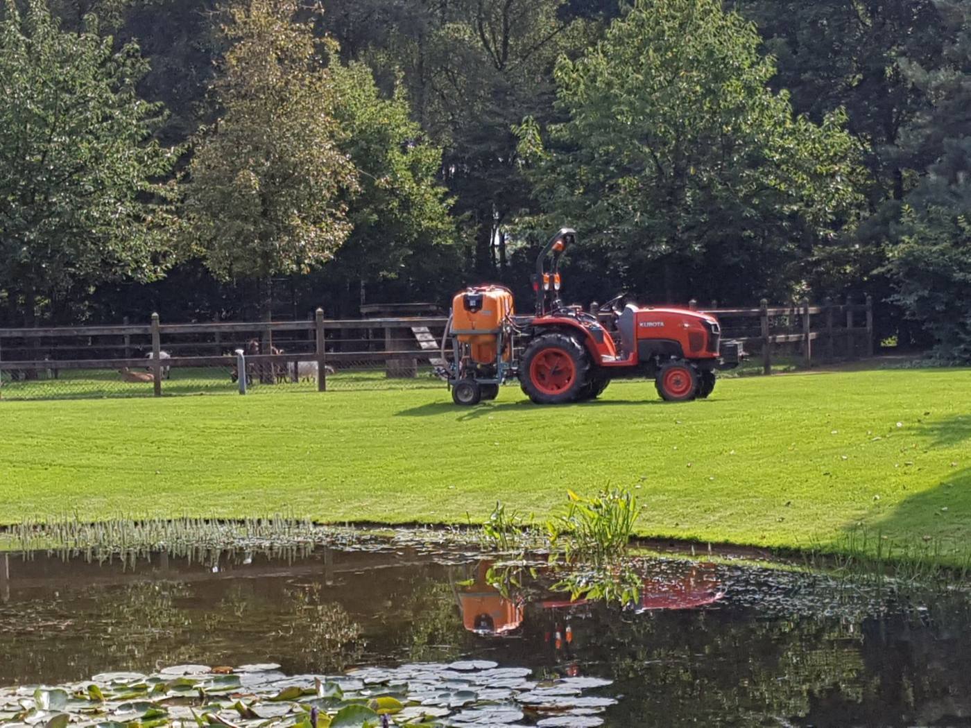 IMG-20170901-WA0004-web Onkruid bestrijding gazon door Grastotaal